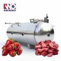 Système de lyophilisation de fruits de fraises de qualité d'exportation de marque fiable, chauffage radiant double face, machine de lyophilisation sous vide