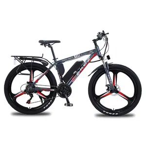 Aluminium Elektrische Fiets 21 Speed Elektrische Fiets Voor Volwassen 26 Inch Mountainbike Dubbele Schijfrem 36V 350W E Fiets