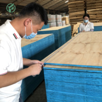 Contrachapado Laminado Estructural de Pino CDX C+/c Resistente al Agua