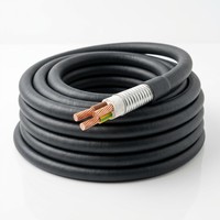 Kabel Daya 3 Inti Tembaga BBTRZ Fleksibel Tahan Api Berisolasi Mineral IEC 0.6/1kV untuk Bangunan dan Distribusi Tenaga