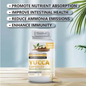 OEM Etiqueta Privada <span class=keywords><strong>Yucca</strong></span> <span class=keywords><strong>Schidigera</strong></span> extracto salud suplementos 500mg cápsulas de yuca - Product Image 3