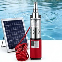 Pompe à eau solaire haute pression BESUN DC 12V/24V, pompe submersible à brosse, pompe solaire à vis pour forage OEM, irrigation agricole