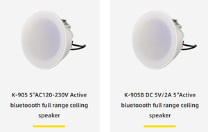 K-905B 10W 5 <span class=keywords><strong>in</strong></span>ç BT hoparlör sistemi DC5V/2A bilgisayar kullanımı iç<span class=keywords><strong>in</strong></span> yüksek sadakat ses kurulum tavan hoparlör 2.0 kanal - Product Image 3