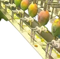 Industriële machine voor het automatisch schillen van mango's, papaja's, himi-meloenen en avocado's met hoge efficiëntie