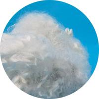 Fibre de polyester creuse siliconée blanche recyclée PSF 100% polyester 7D 64mm pour le filage
