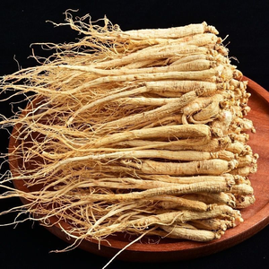 Racine de ginseng <span class=keywords><strong>blanc</strong></span> premium de la montagne de Changbai, matière première séchée pour les fabricants de sachets de thé/boissons, vente en gros - Product Image 1