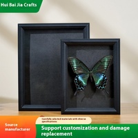 Cadre photo de spécimen papillon creux de 2cm fait à la main DIY commémoratif MDF verre Table essorage papier cadre fleur séchée