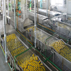 Linha de produção de máquina de frutas frescas em conserva pêssego amarelo - Product Image 5