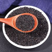 Vente en gros de graines de sésame noir pur Produit agricole Sésame noir naturel prêt pour l'expédition