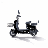 Vélo Électrique (E-Bike) 48V 350W à Moteur Arrière Brushless 3 Vitesses, Grande Vitesse, Longue Autonomie, Batterie Plomb-Acide, Vente Chaude Directe Usine