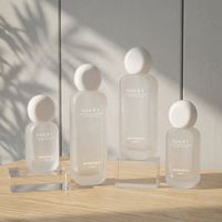 Ensemble d'emballages vides en verre dépoli pour cosmétiques : flacons pompe et vaporisateurs de 30ml, 50ml, 100ml, 120ml pour toner, lotion et crème visage