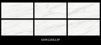 Carreaux muraux modernes en marbre blanc 60x60 pour maison et douche, fonction pare-feu