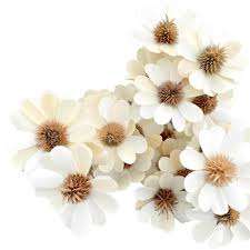 การจัดดอกไม้แห้งต้นปาล์มซันนี่คุณภาพระดับพรีเมียมสำหรับตกแต่งบ้านสำนักงานและงานแต่งงานที่เป็นที่นิยมสำหรับการฟอกดอกไม้และต้นไม้แบบทำมือ - Product Image 3