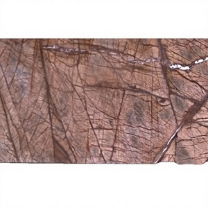Grande dalle de marbre brun Rainforest poli moderne, haute résistance, résistante aux rayures, pour projets hôteliers, hospitaliers et d'appartements - Naturel - Product Image 1