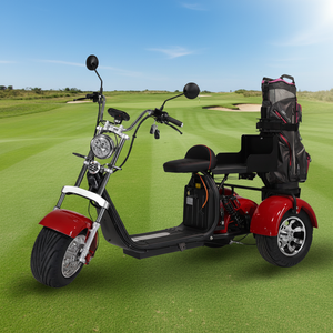 Scooter de golf électrique à trois roues avec pneus larges, GPS, pliable et étanche, moteur 2000W/3000W, batterie au lithium, porte-sac - Product Image 6
