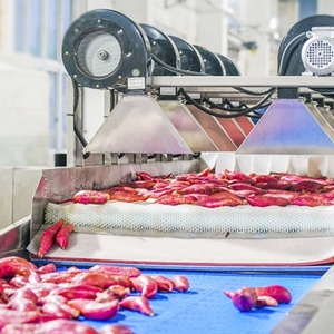 สายการผลิตมันเทศอัตโนมัติแบบกำหนดเองจากโรงงาน เครื่องแช่ล้างและอบแห้งมันเทศด้วยลม - Product Image 5