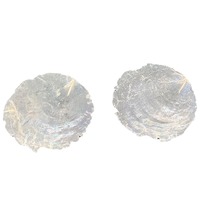 Vente chaude 1 Kg Capiz Shell Pieces Natural Shell Matières premières pour carillons éoliens décoratifs et accessoires d'artisanat