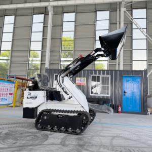 Cargadora Compacta para Todas las Estaciones, Apta para Uso Municipal, Agrícola e Industrial en <span class=keywords><strong>Primavera</strong></span>, Verano, Otoño e Invierno - Product Image 1