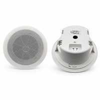 Altavoz de Techo Cerrado de 100V Personalizado al por Mayor de Fábrica para Instalación en Sistemas de PA en Oficinas y Locales
