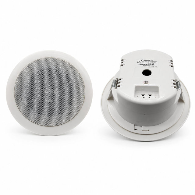 Factory Wholesale Custom 100V Enclosed Ceiling Speaker for Office Venue PA System Installation