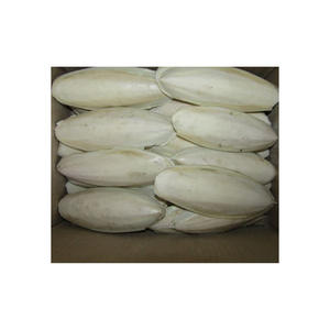 กระดูกปลาหมึกธรรมชาติ: อาหารเสริมแคลเซียมที่ยอดเยี่ยมสำหรับนก - Product Image 1