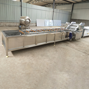 Gıda İşleme Haşlama Hattı |   Otomatik Sebze ve Meyve Renk Sabitleme ve Ön Pişirme Ekipmanı - Product Image 5