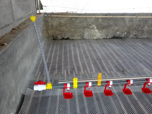 Nuevo sistema de bebederos automáticos colgantes de la marca Herdsman para pollos de engorde con copa de goteo para gallineros - Product Image 5
