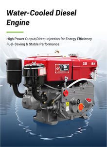 Pequeña máquina de <span class=keywords><strong>pellets</strong></span> de alimentación diésel <span class=keywords><strong>para</strong></span> uso doméstico Operación simple <span class=keywords><strong>para</strong></span> la producción de piensos <span class=keywords><strong>para</strong></span> aves de corral, ganado y ovejas - Product Image 6