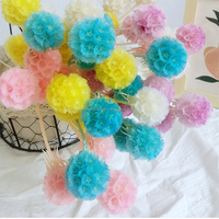 Bunga Kering Alami Diawetkan Pristimera Foliage Pinwheel Fruit Scabiosa DIY Rangkaian Bunga Dekorasi Rumah Pernikahan Toko