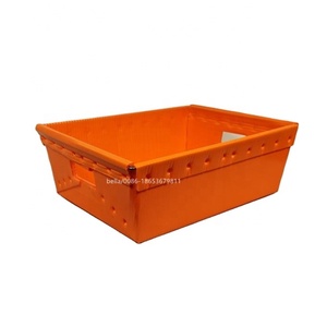 Corrugated plastic mini postal totes/mail tray