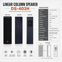 Enceinte de Scène Murale Professionnelle DSZ DS-403H 800W pour Extérieur, Double Haut-Parleur 15 Pouces, 8 Ohms, 70Hz-20kHz