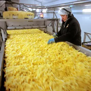 Qiangda 100 Kg/u Volautomatische Gefrituurde Chips Maken Machine Bevroren Frietjes Productielijn