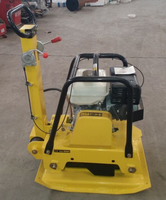 Moteur Loncin à poussée manuelle Compacteur à plaques vibrantes à essence/diesel Compacteur à plaques réversible à vendre