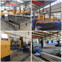 Machine de découpe plasma CNC à portique, modèle 3060, 300x600mm, 220V, avec moteur servo, roulement et engrenage (composants essentiels)