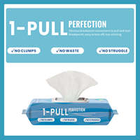 Lingettes humides jetables personnalisées à marque privée, certifiées INDA GD4, compatibles fosses septiques, 100 % biodégradables et écologiques