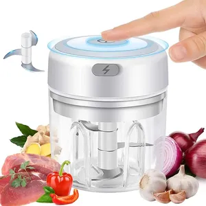 Mini hachoir à ail électrique Rechargeable viande légumes Masher mélangeur oignon ail trancheuse broyeur