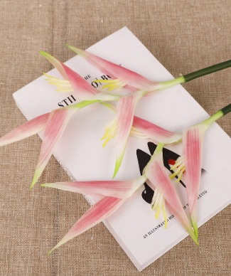 สีชมพูอ่อน