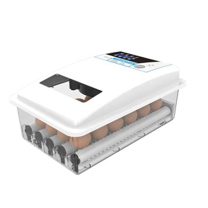 Jiatai giá rẻ tự động Máy Ấp Trứng Nở trứng 24 trứng lồng ấp điện kép Máy Ấp Trứng - Product Image 5