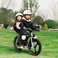 Vélo électrique tout-terrain pour enfants de 16 pouces avec batterie au lithium 24V, 150 watts, vélo pour enfants, vélo électrique tout-terrain