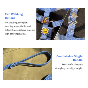 Correa de Lujo para Mascotas (Perros y Gatos) de PVC Impermeable, Ajustable, con Dijes, Diseño Personalizado con Logotipo, Venta al Por Mayor de Fabricante - Product Image 5