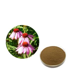 Beste Prijs Hoge Kwaliteit Biologische <span class=keywords><strong>Echinacea</strong></span> Purpurcea Poeder Te Koop - Product Image 2