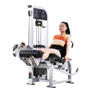 Equipo de Entrenamiento de Fuerza, Máquina de Extensión de Piernas para Gimnasio Comercial, con Pesas, Modelo WD-HX623, Servicio de Personalización OEM/ODM - Product Image 2