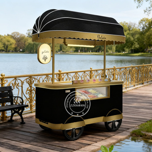 Chariot de congélation portable pour crème glacée, vitrine de congélation pour crème glacée, chariot mobile à pousser à la main pour la présentation et la vente de gelato et de crème glacée - Product Image 1