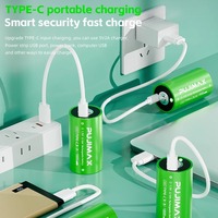 Batteries au lithium rechargeables de type C PUJIMAX 10000mWh 1,5V taille D pour cuisinière au gaz naturel, chauffe-eau, lampe de poche, radios