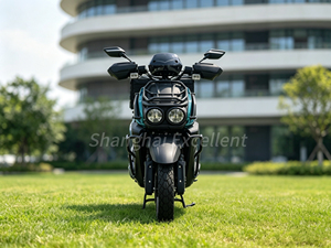 Motocicleta Eléctrica de Reparto, 2000W, Alta Velocidad, Largo Alcance, Scooter Eléctrico para Reparto de Comida a Domicilio, <span class=keywords><strong>Mensajería</strong></span> Express - Product Image 3