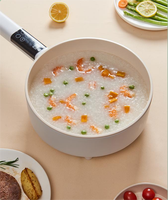 Casserole électrique polyvalente de 4 L avec fonction économie d'énergie, design simple pour usage domestique, hôtelier et cuisine de plein air raffinée