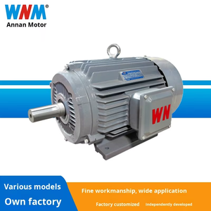Wannan <span class=keywords><strong>Electric</strong></span> Série YE4 Moteur asynchrone triphasé à très haut rendement | Efficacité IE4 | 380V | 1000r/min - Product Image 2