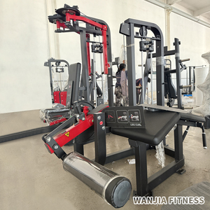 Machine de musculation multifonctionnelle professionnelle avec système à disques pour exercices de curl et extension des jambes à plat - Product Image 4