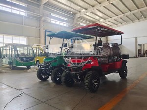 Nouveau modèle 2026 : Voiturette de golf électrique 2 places avec grand bac de rangement - Product Image 3