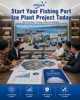 Machine à glace en tubes Pecold 30 tonnes, directement de l'usine, pour centre d'approvisionnement en glace du port de pêche d'Indonésie, service local DDP
